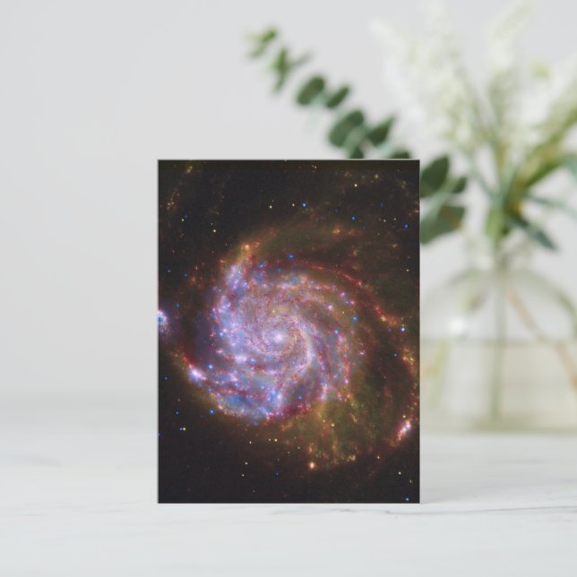 Starbirth in the Pinwheel:  M101 Galaxy Postcard (Standing Front)