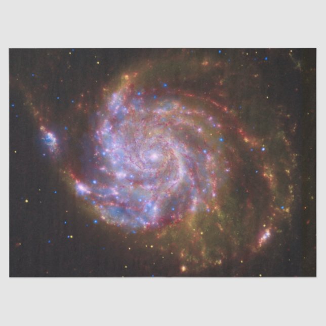 Starbirth in the Pinwheel:  M101 Galaxy Tissue Paper (Front)