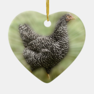 Starburst Chicken Young Barred Plymouth Rock Hen Ceramic Ornament