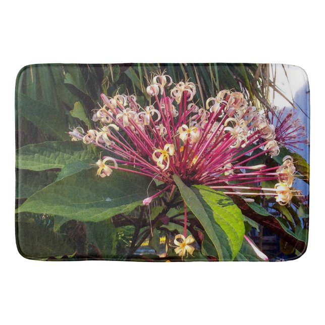 Starburst Clerodendrum Flowers Bath Mat (Front)