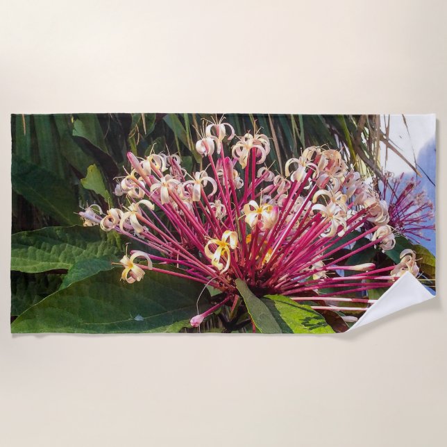 Starburst Clerodendrum Flowers Beach Towel (Front)