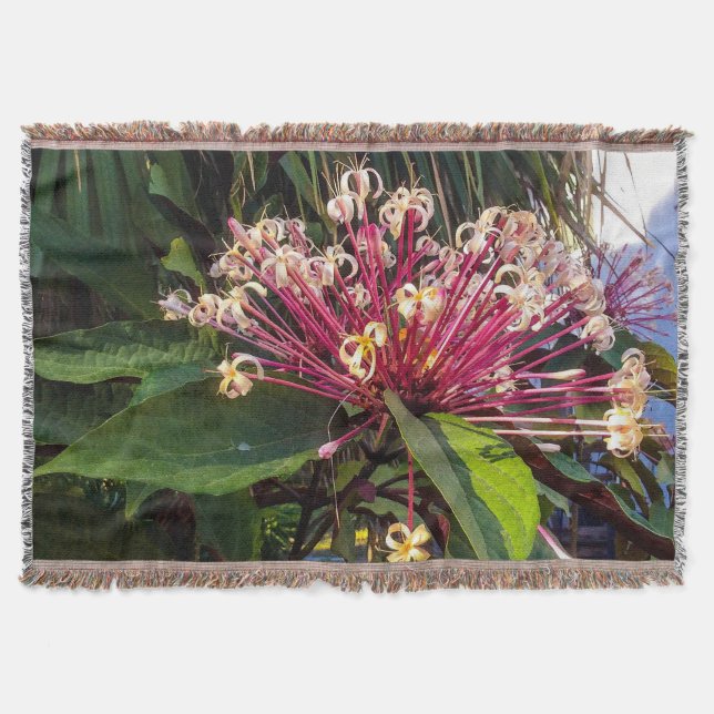 Starburst Clerodendrum Flowers Throw Blanket (Front)