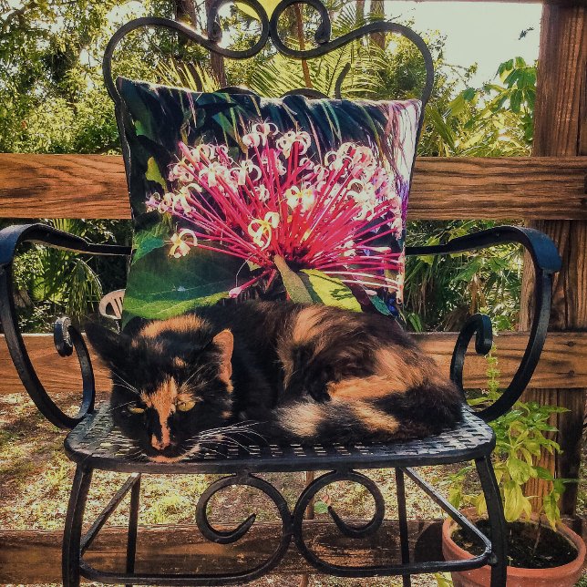 Starburst Clerodendrum Flowers Throw Pillow (Creator Uploaded)