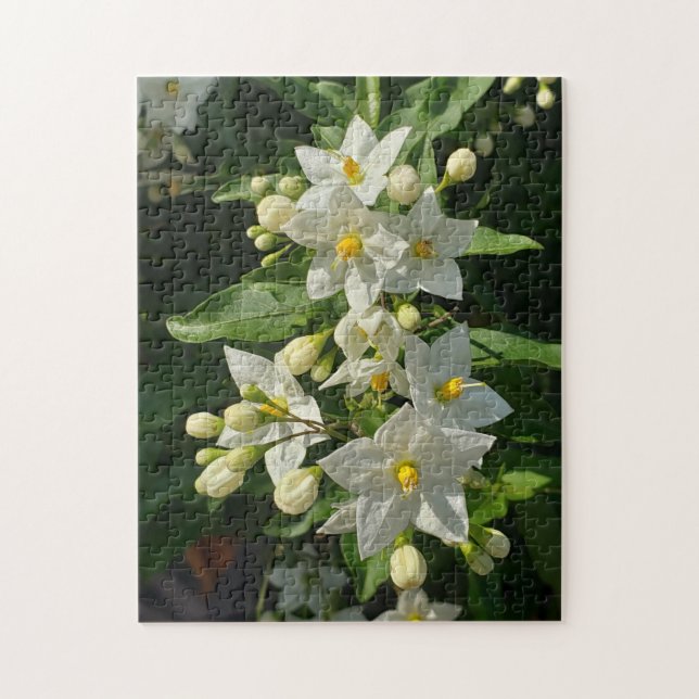 Starburst Garden Blooms Puzzle (Vertical)