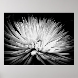 Starburst Mom Blossom Poster Print
