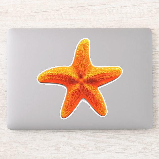 Starfish (Computer)