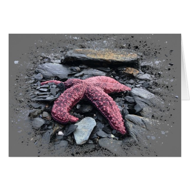 Starfish - 5" x 7" Art Card (Front Horizontal)