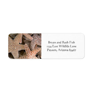 Starfish all around return address label