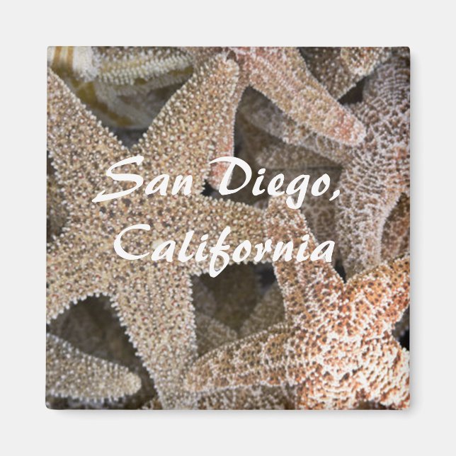 Starfish all around , San Diego , California Magnet (Front)