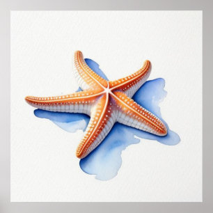 Starfish and Blue Silhouette Poster