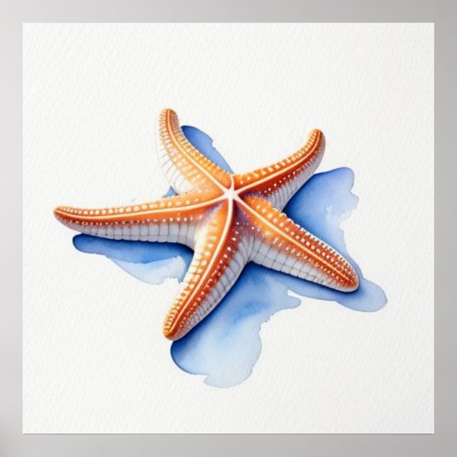 Starfish and Blue Silhouette Poster (Front)
