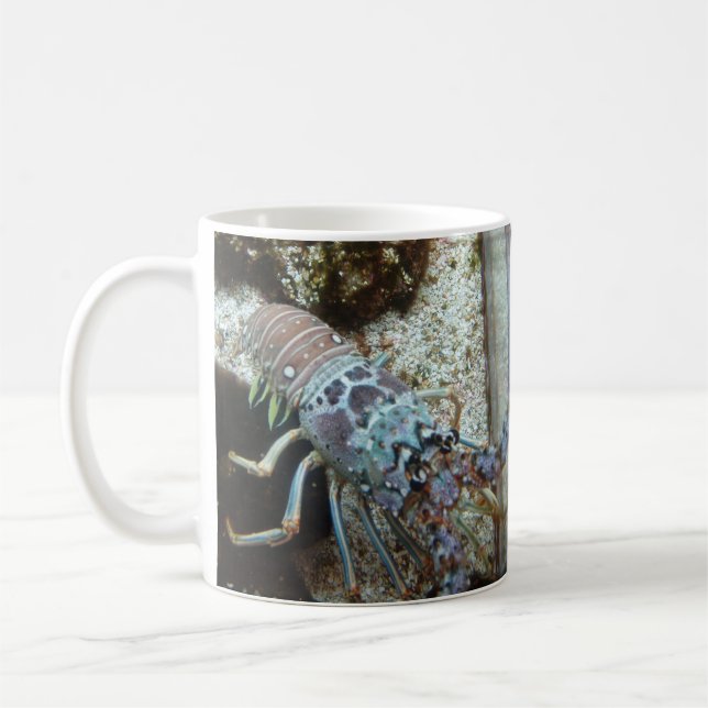 Starfish and Friends Coffee Mug (Left)