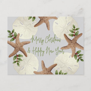 Starfish and Sand Dollars Beach Christmas Postcard