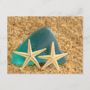 Starfish And Sea Glass Postcard