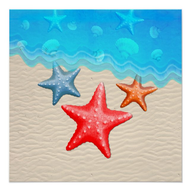 Starfish And Seashells Poster (Front)