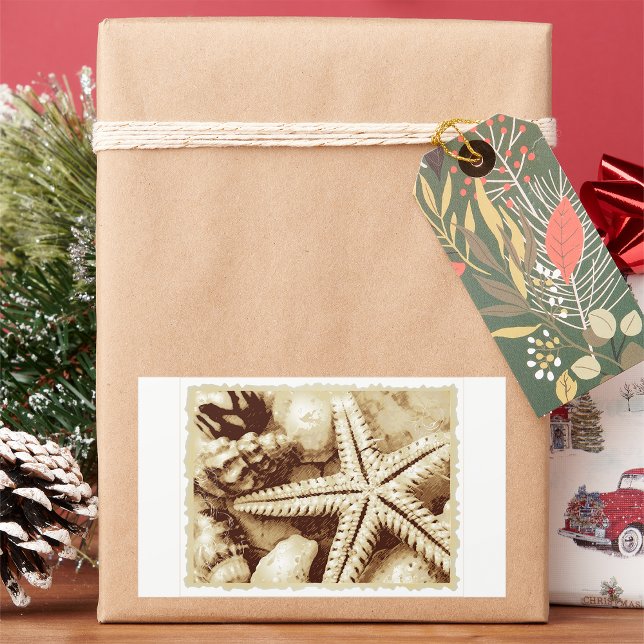 Starfish and Seashells Stickers (Creator Uploaded)