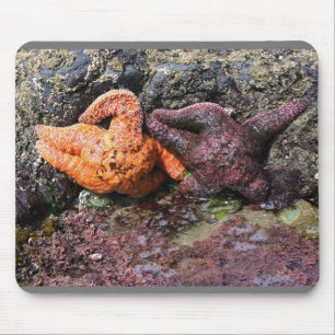 Starfish at Bob Creek, OR Mouse Pad