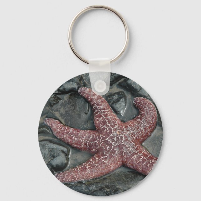 StarFish at Oceanside in Tillamook County, Oregon Key Ring (Front)