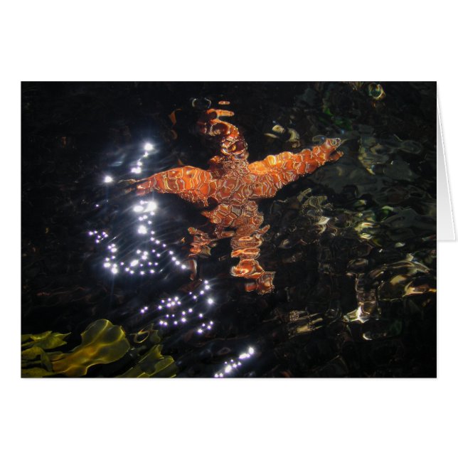Starfish at Tidepool (Front Horizontal)