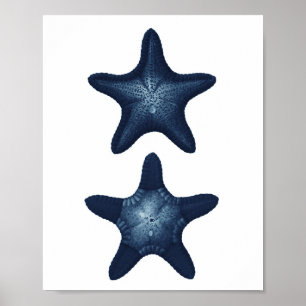 Starfish Beach Decor Navy Bathroom Art