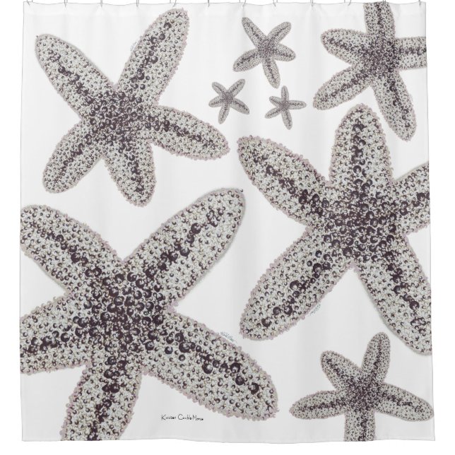 Starfish Black and White Shower Curtain (Front)