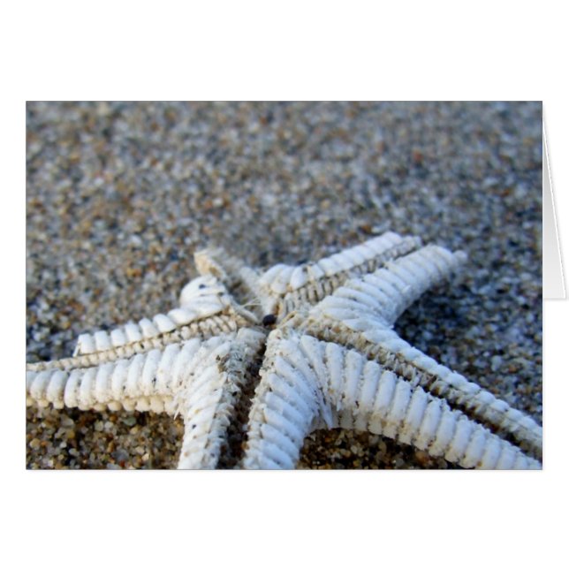 Starfish Card (Front Horizontal)