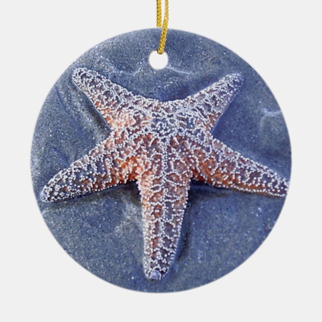 Starfish Christmas Oranament Ceramic Tree Decoration (Front)