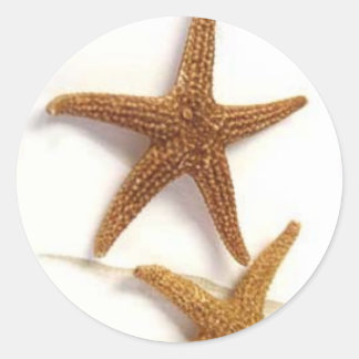Starfish Classic Round Sticker