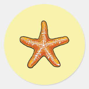 Starfish Classic Round Sticker