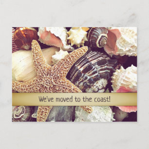 Starfish Coastal Home New Address Announcement Postcard