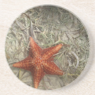 Starfish Coaster