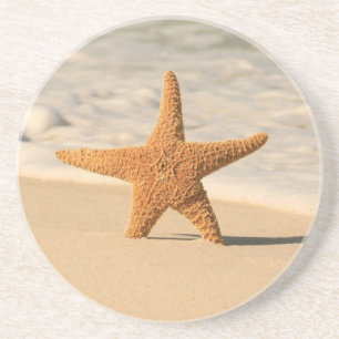 Starfish coasters