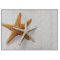 Starfish Glass Cutting Board