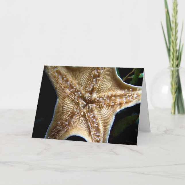 Starfish Greeting Card (Front)
