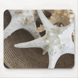 Starfish in a basket mouse pad