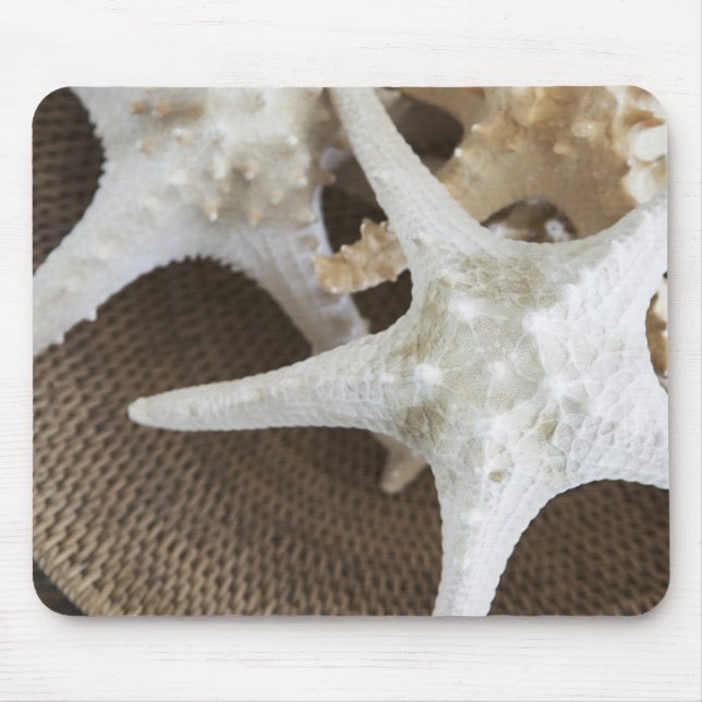 Starfish in a basket mouse pad (Front)
