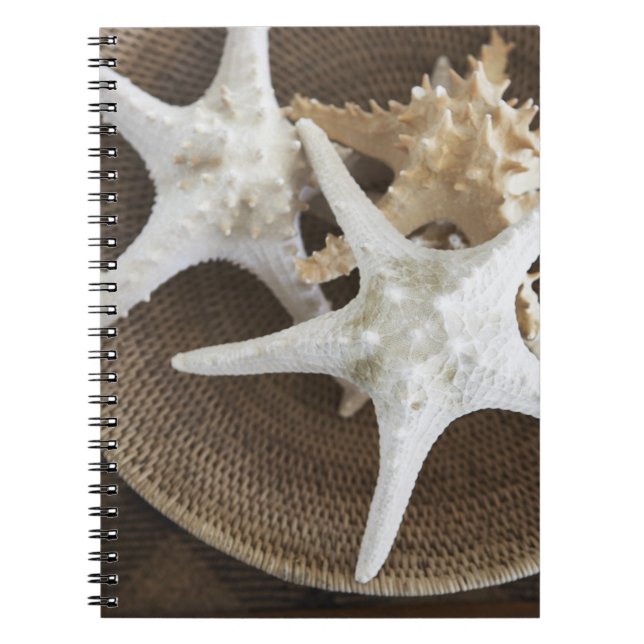 Starfish in a basket notebook (Front)