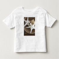 Starfish in a basket