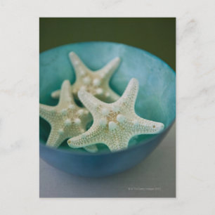 Starfish in bowl postcard