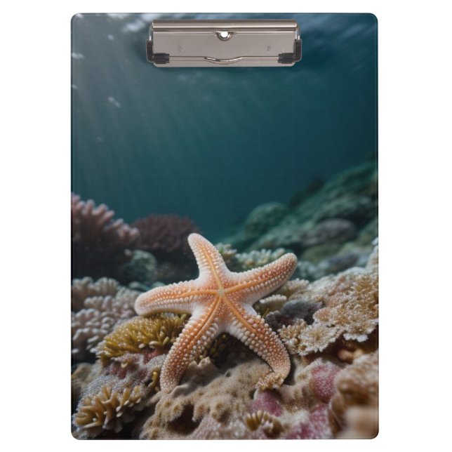 Starfish in the Deep Sea Clipboard (Front)