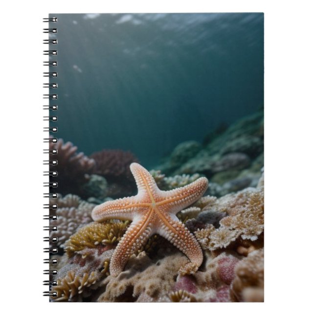 Starfish in the Deep Sea Notebook (Front)