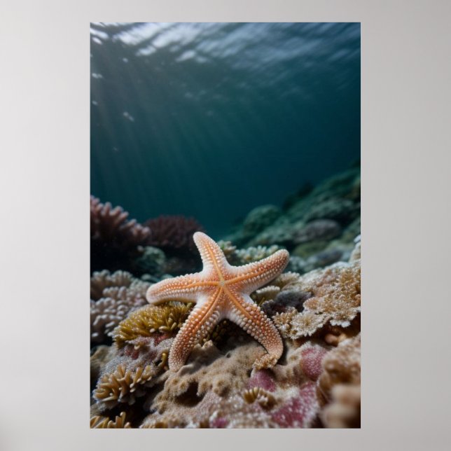 Starfish in the Deep Sea Poster (Front)