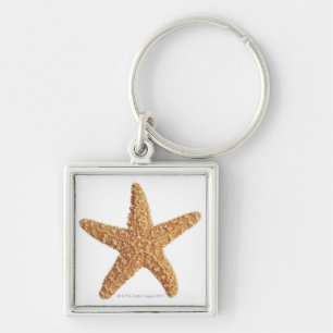 Starfish isolated on white key ring