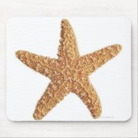 Starfish isolated on white