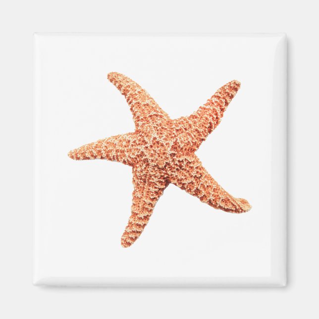 Starfish Magnet (Front)