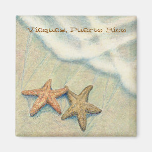 Starfish Magnet