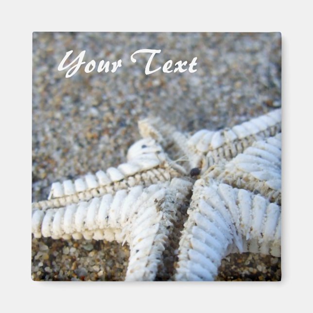 Starfish Magnet (Front)