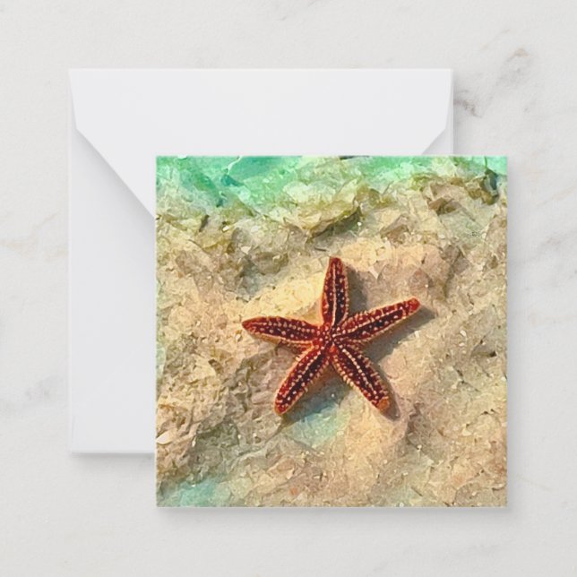 Starfish mini notecard set (Front)