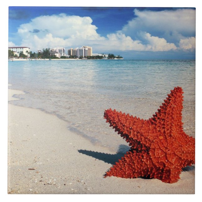 Starfish, Nassau, Bahamas Ceramic Tile (Front)