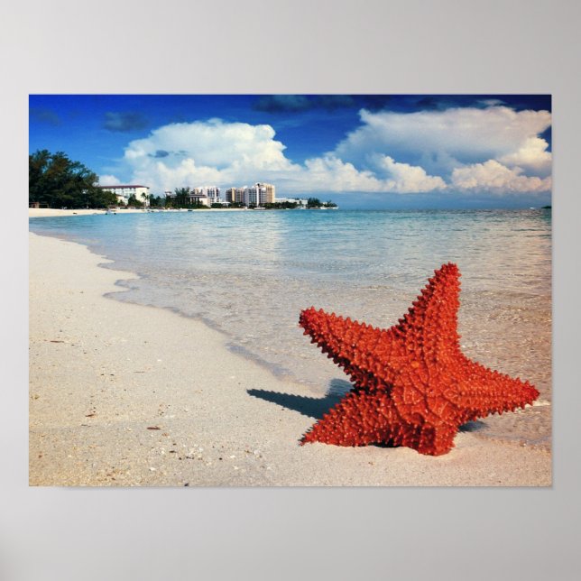 Starfish, Nassau, Bahamas Poster (Front)